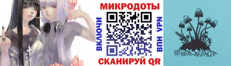 Галлюциногенные грибы Psilocybine cubensis  Исилькуль 
